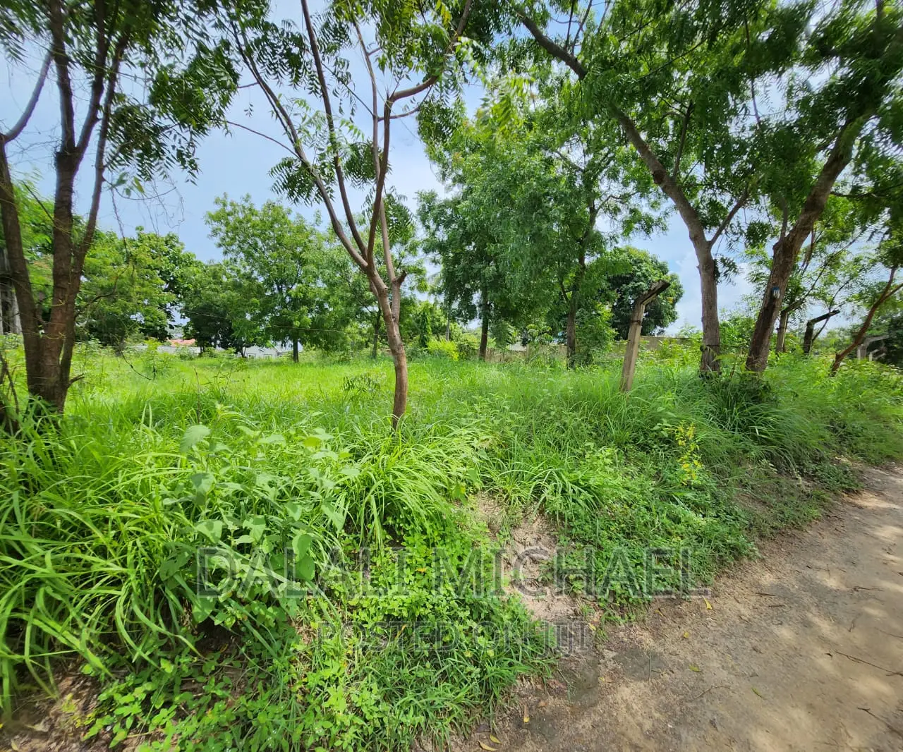 Plot for Sale at Salasala!#
