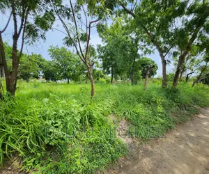 Plot for Sale at Salasala!#