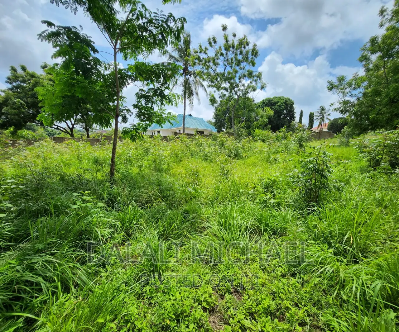 Plot for Sale at Salasala!#