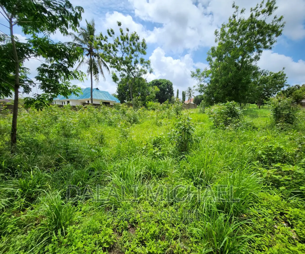 Plot for Sale at Salasala!#
