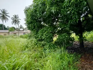 Plot for Sale at Kibaha Kongowe