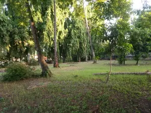 Plot for Rent at Ada Estate
