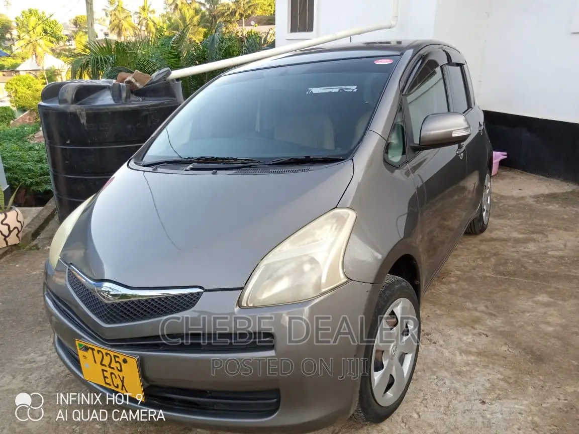Toyota Ractis 2009 Gray