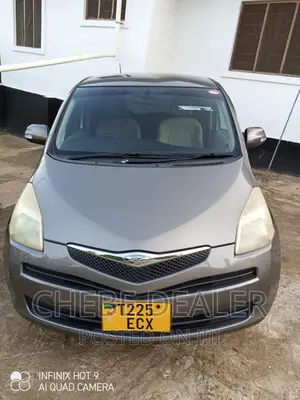 Toyota Ractis 2009 Gray
