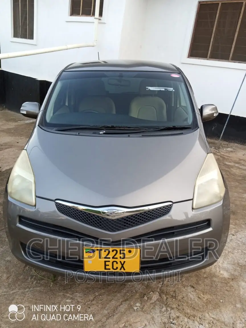 Toyota Ractis 2009 Gray