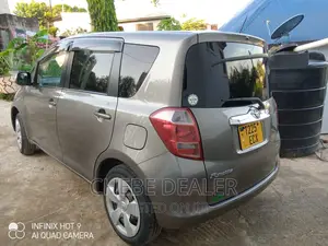 Toyota Ractis 2009 Gray