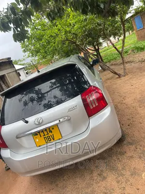 Toyota Allex 2003 Silver