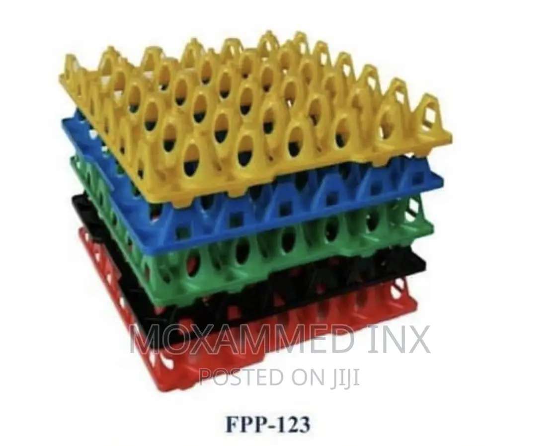 Eggs Tray Price