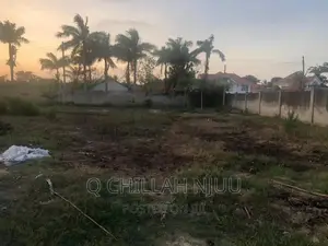 Jangwani Beach for Sale
