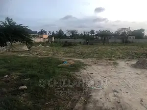 Jangwani Beach for Sale