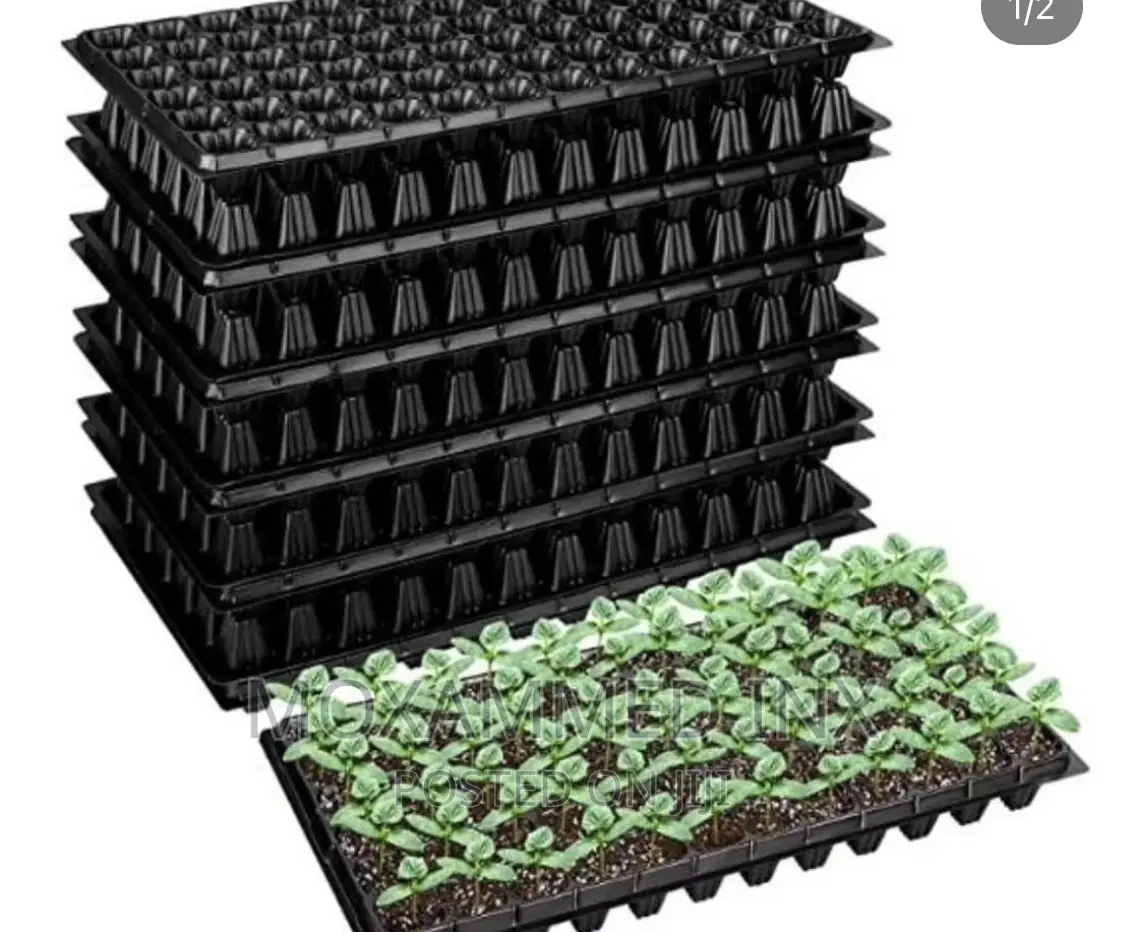 Tray of 50 Holes Seedling Tray
