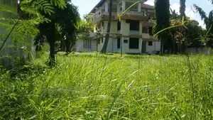 6bdrm Apartment in Mikocheni for rent