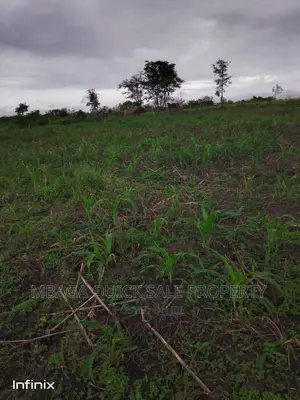 Farm for Sale at Mbwewe Chalinze