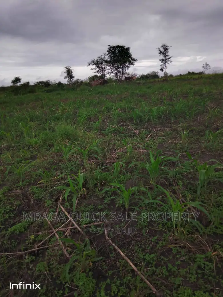 Farm for Sale at Mbwewe Chalinze
