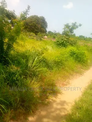 Plot for Sale at Kibaha Msufini