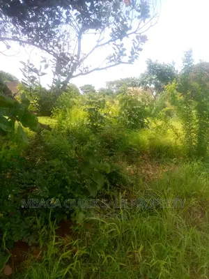 Plot for Sale at Kibaha Msufini