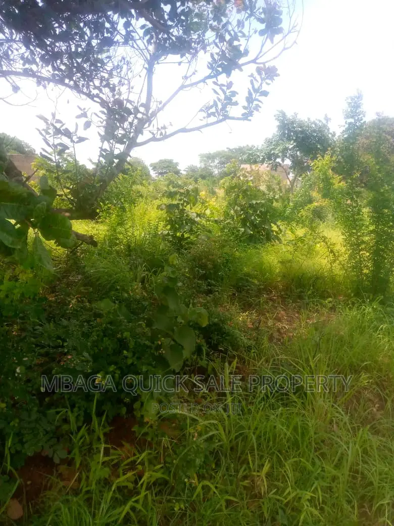 Plot for Sale at Kibaha Msufini