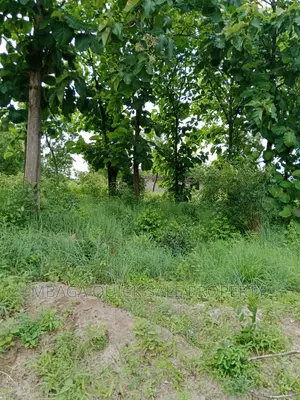 Plot for Sale at Salasala Big Brother