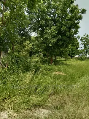 Plot for Sale at Salasala Big Brother