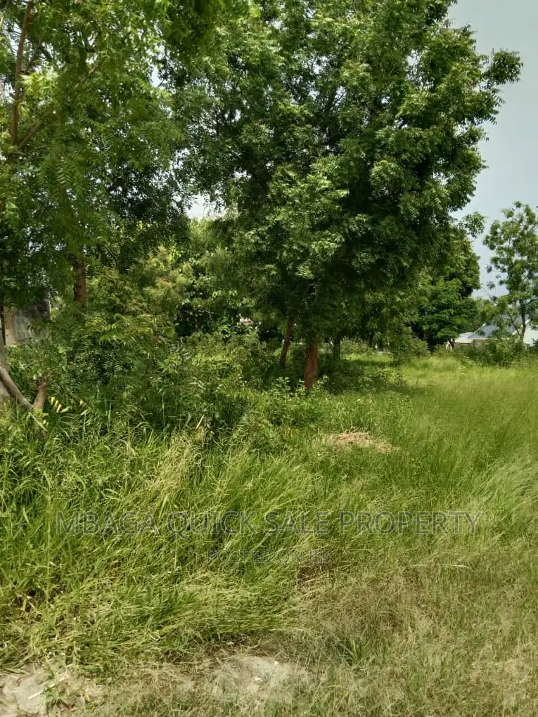 Plot for Sale at Salasala Big Brother