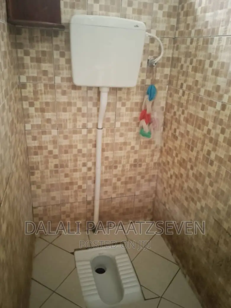 1bdrm Apartment in Dalalipapaatzseven, Kinondoni for rent