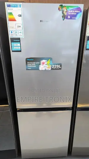Hisense Double Door Fridge H300BTS