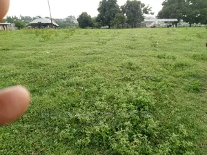 Plot for Sale at Kinyerezi
