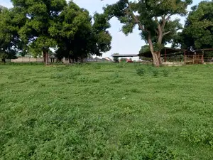 Plot for Sale at Kinyerezi