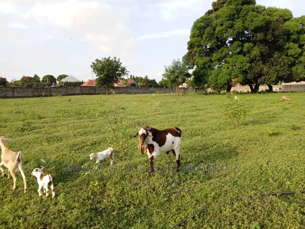 Plot for Sale at Kinyerezi