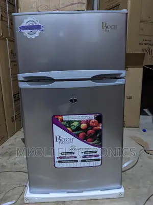Roch Friji Lita 100