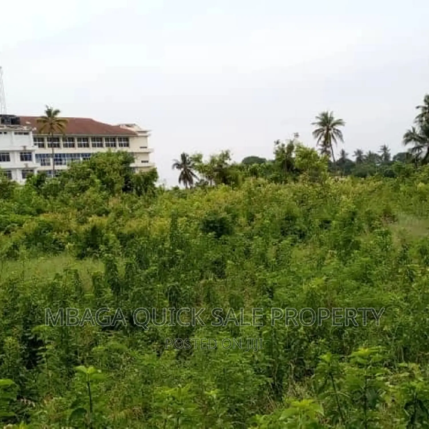 Plot for Sale at Bagamoyo Near Maria Hotel