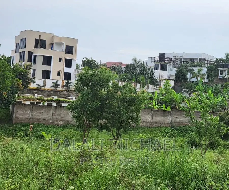 Goba Plot for Sale: