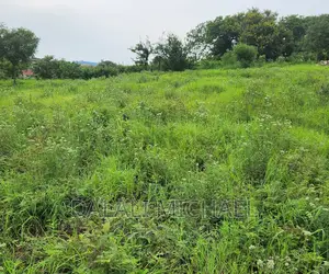 Goba Plot for Sale: