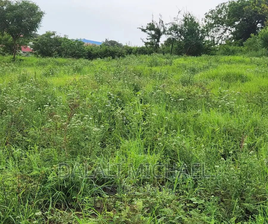 Goba Plot for Sale: