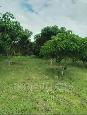 Eneo Hk 3 La Viwanda Linauzwa Ml 300 Bagamoyo Mapinga.