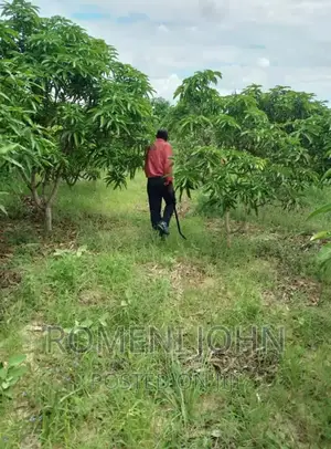 Eneo Hk 3 La Viwanda Linauzwa Ml 300 Bagamoyo Mapinga.