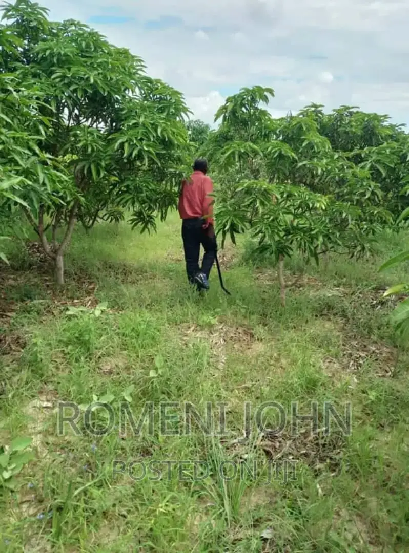 Eneo Hk 3 La Viwanda Linauzwa Ml 300 Bagamoyo Mapinga.