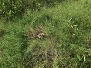 Viwanja Vinauzwa Kibamba Kibwegere