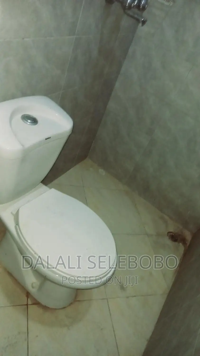 Mini Flat in Mwananyamala B for rent