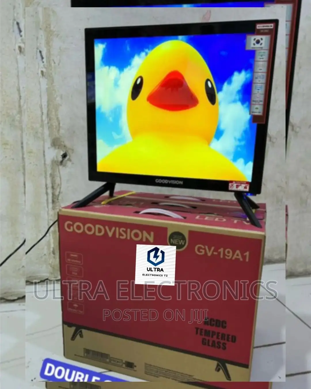 GOODVISION TV Yenye Inchi 19