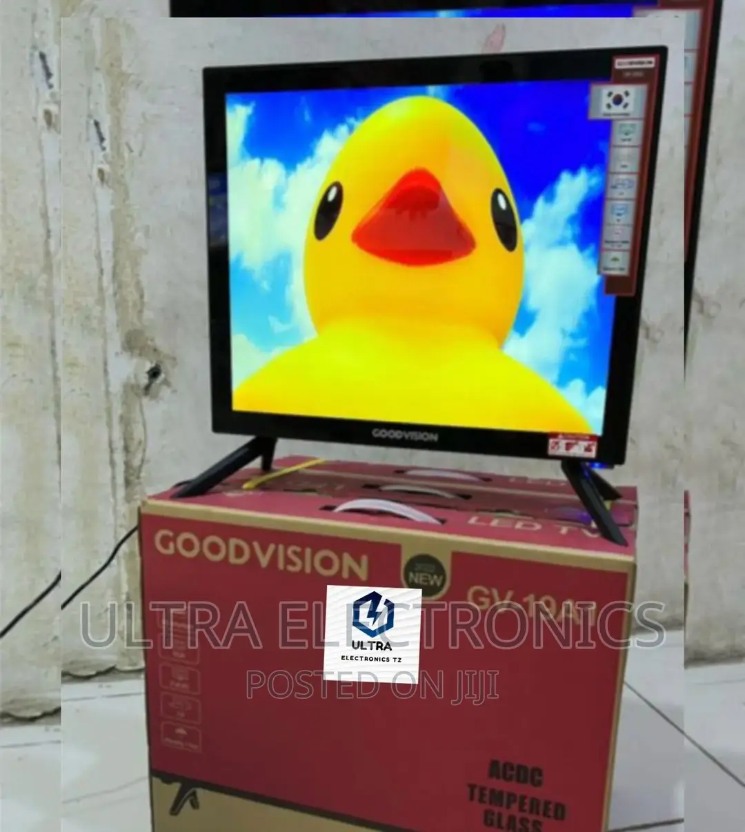 GOODVISION TV Yenye Inchi 19