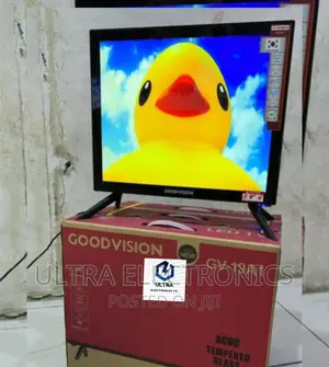 GOODVISION TV Yenye Inchi 19