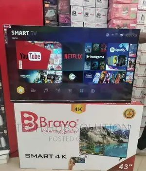 Bravo 43 Inch Tv