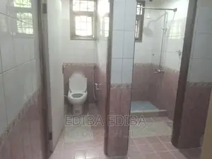 3bdrm House in Ediba Real Estate, Arusha for rent
