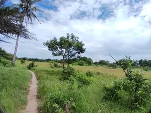 Plot for Sale at Kibaha Misugusugu