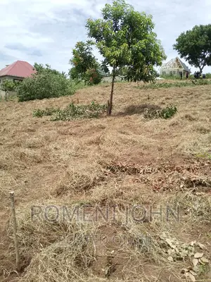 Kiwanja Sqmita 200 Kinauzwa Ml 3 Ukonga Chanika Buyuni.