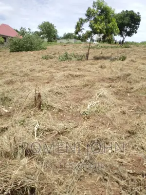 Kiwanja Sqmita 200 Kinauzwa Ml 3.1 Chanika Buyuni.