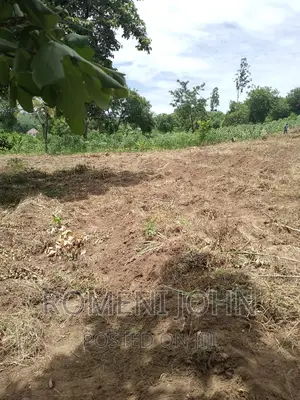 Kiwanja Sqmita 200 Kinauzwa Ml 3.1 Chanika Buyuni.