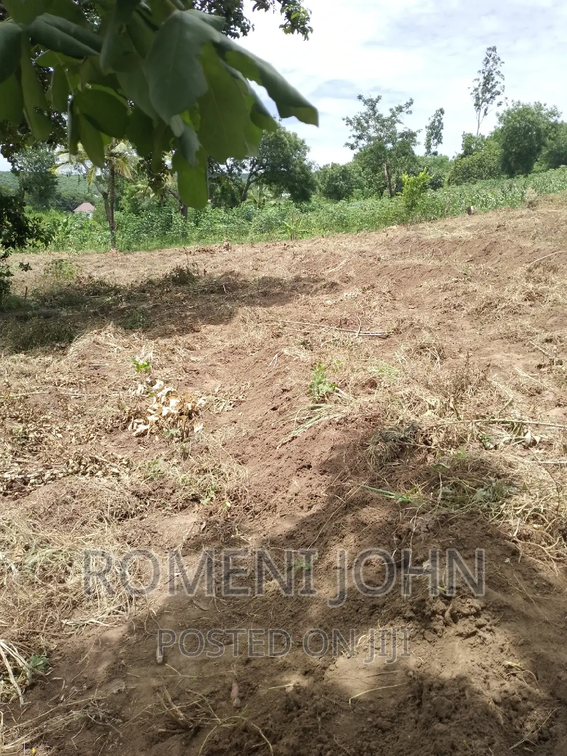 Kiwanja Sqmita 200 Kinauzwa Ml 3.1 Chanika Buyuni.