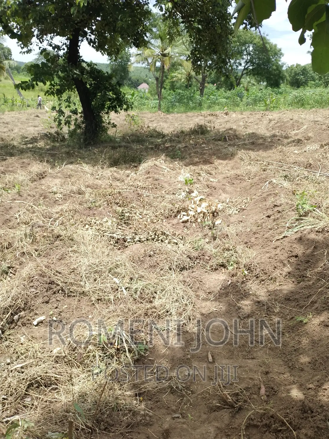 Kiwanja Sqmita 200 Kinauzwa Ml 3.1 Chanika Buyuni.